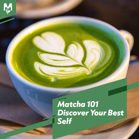Matcha 101: Unveiling the Magic of Green Gold