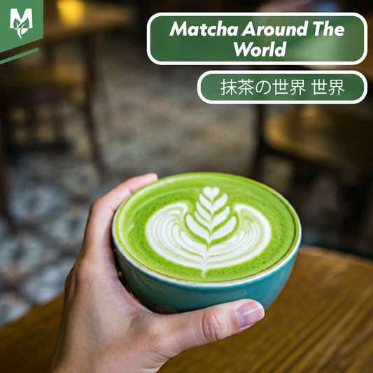 Matcha: A Global Sensation, A Personal Wellness Journey